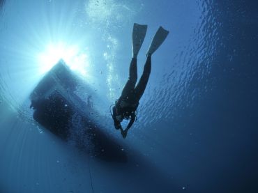 Cathedral Cove Dive & Snorkel